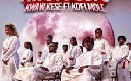 Awoyo Sofo by Kwaw Kese